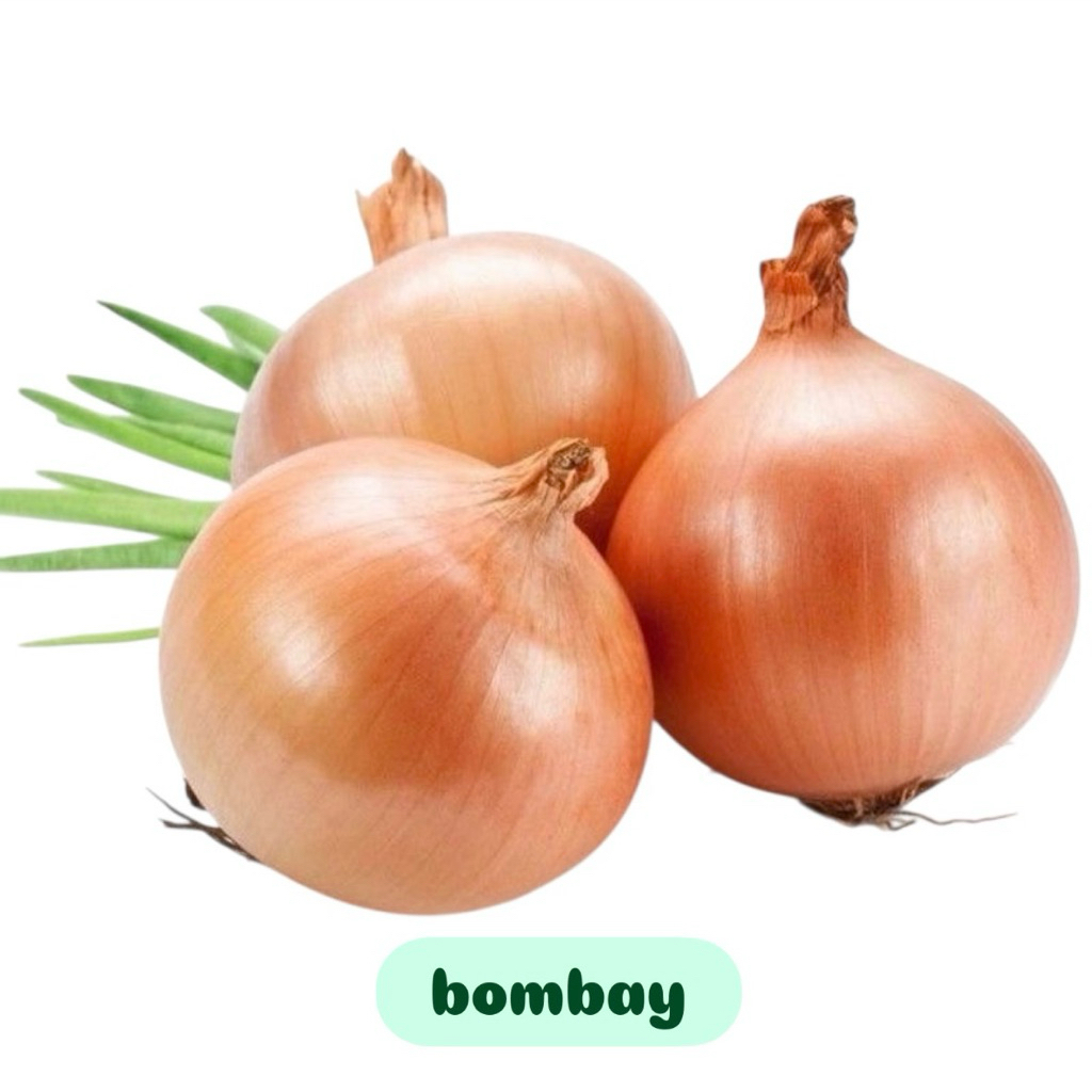 

Bawang bombay 250gr/500gr/1kg
