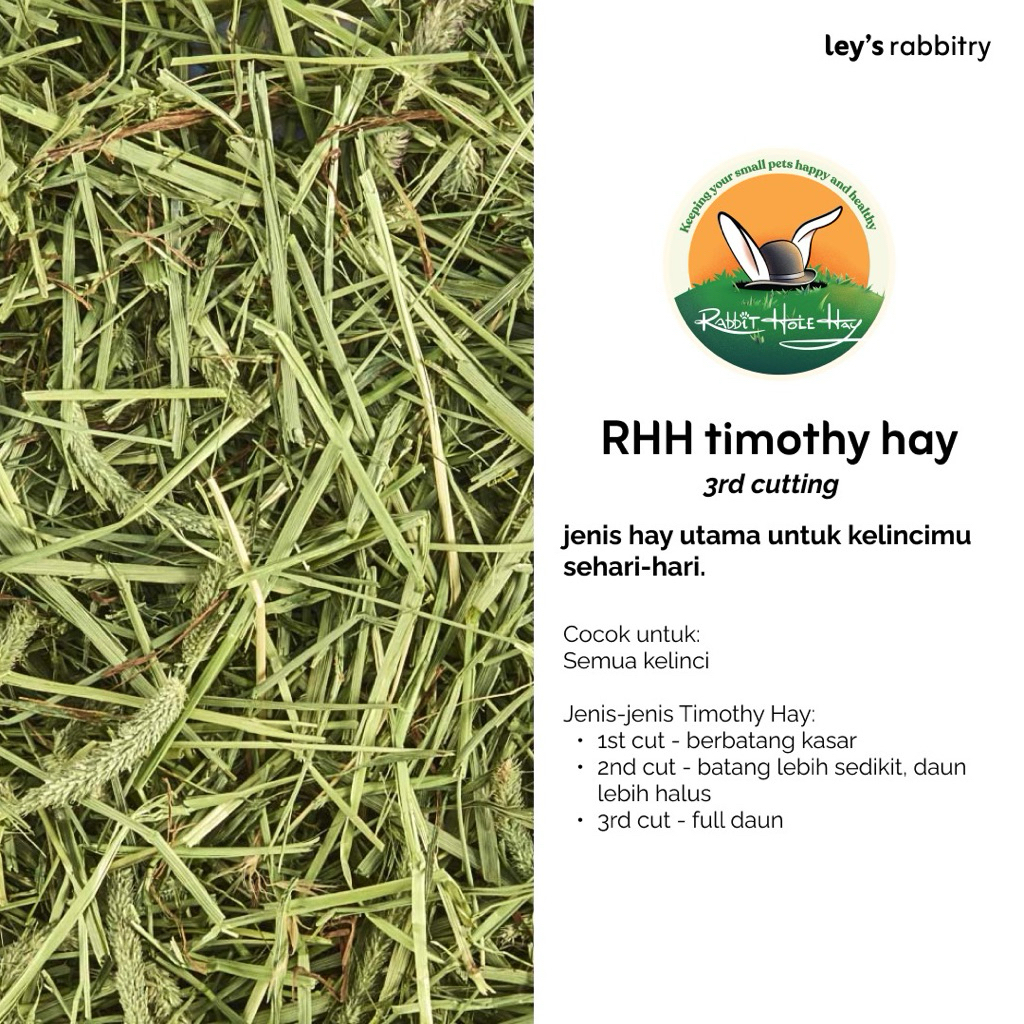 RHH Soft Timothy Hay 3rd Cut 500gr 1kg (Rabbit Hole Hay)