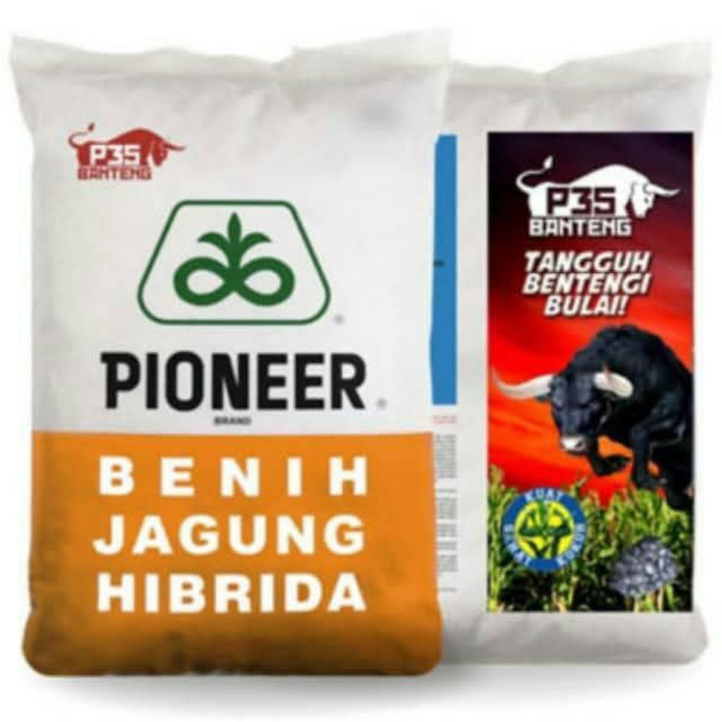 BENIH JAGUNG HIBRIDA PIONEER P35 1KG