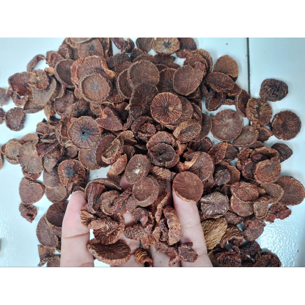 

Buah Pinang Iris Kering 100 gram Kualitas Super Herbal alami untuk