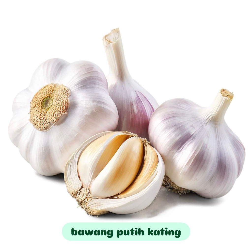 

Bawang putih kating fresh 250gr/500gr/1kg