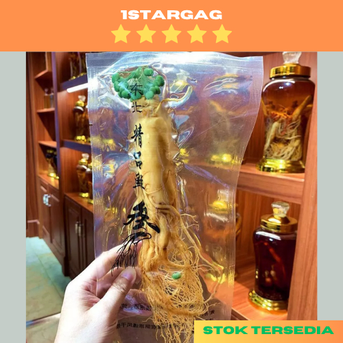 

Akar Ginseng Segar Asli Dengan Bunga Kemasan Vacum 100gr