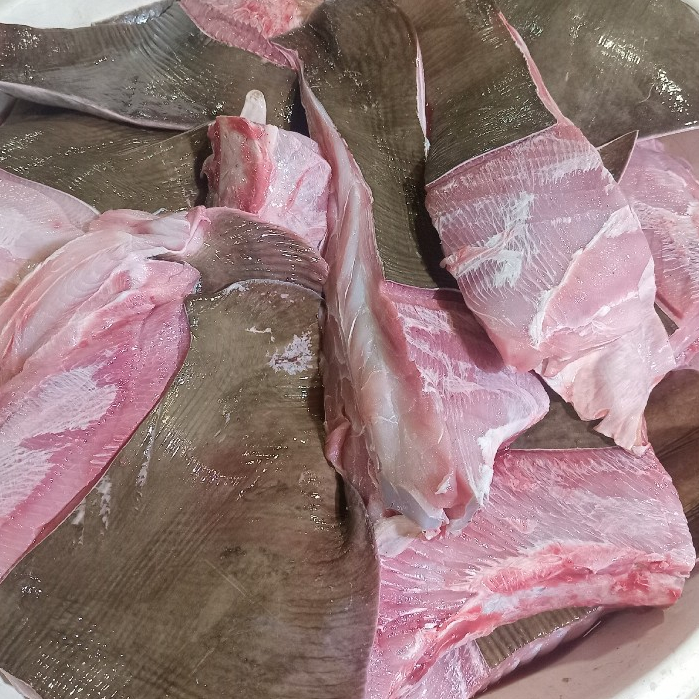 

Ikan Laut Konsumsi Ikan Segar 1Kg Ikan Pari Segar Ikan Pari Fillet