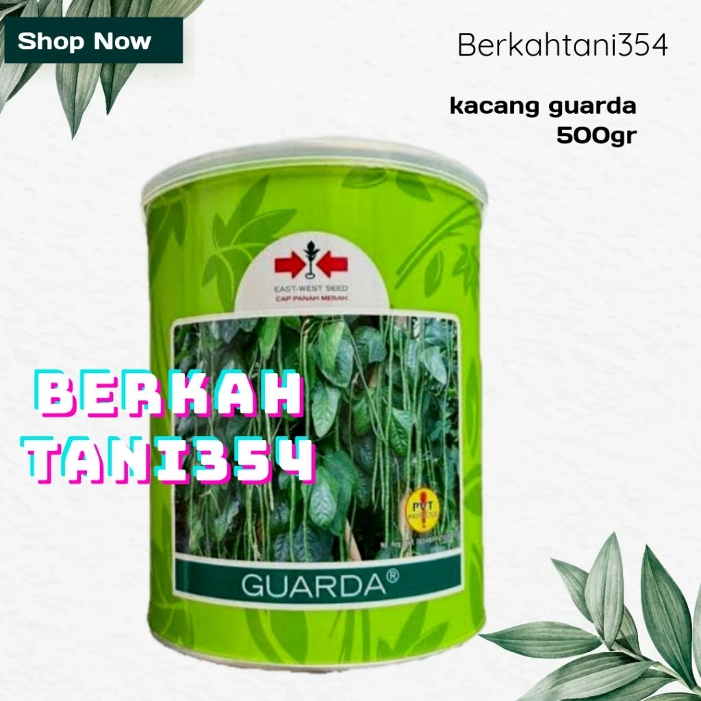 Benih kacang panjang guarda 500gram original kacang garda 500gram
