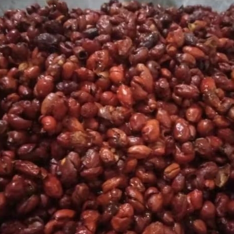 

kulit melinjo pedas manis