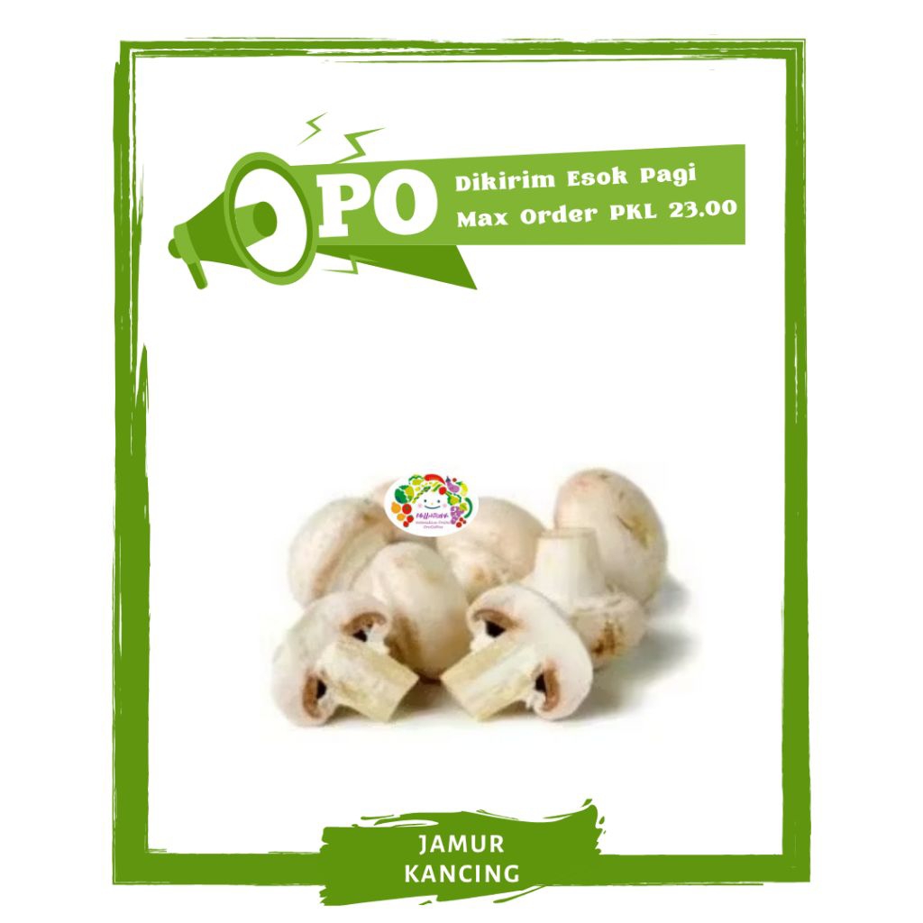 

Jamur Kancing / Sayur Sayuran Segar PO Mallahrizwa