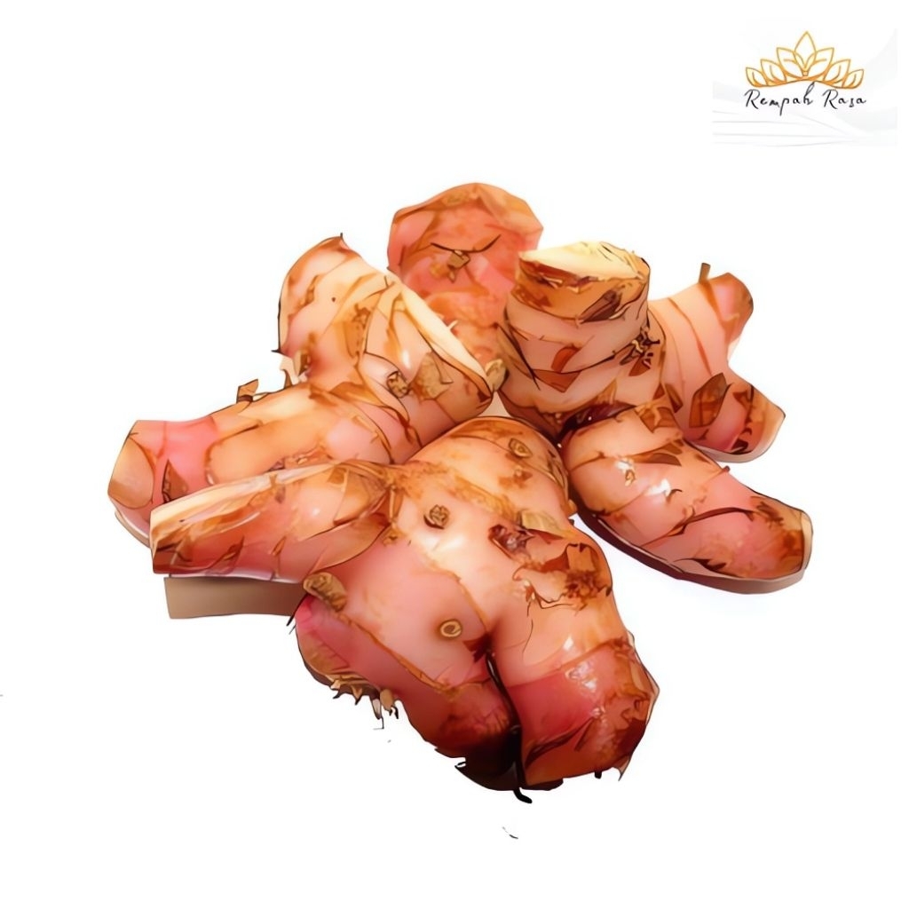 

Lengkuas / Alpinia galanga