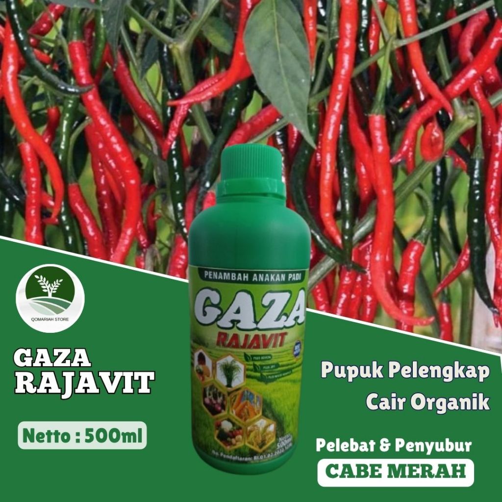 Pupuk Pelebat & Penyubur Cabe Terbaik – Anti Rontok, Buah Lebat & Tahan Lama - GAZA RAJAVIT 500ML - 