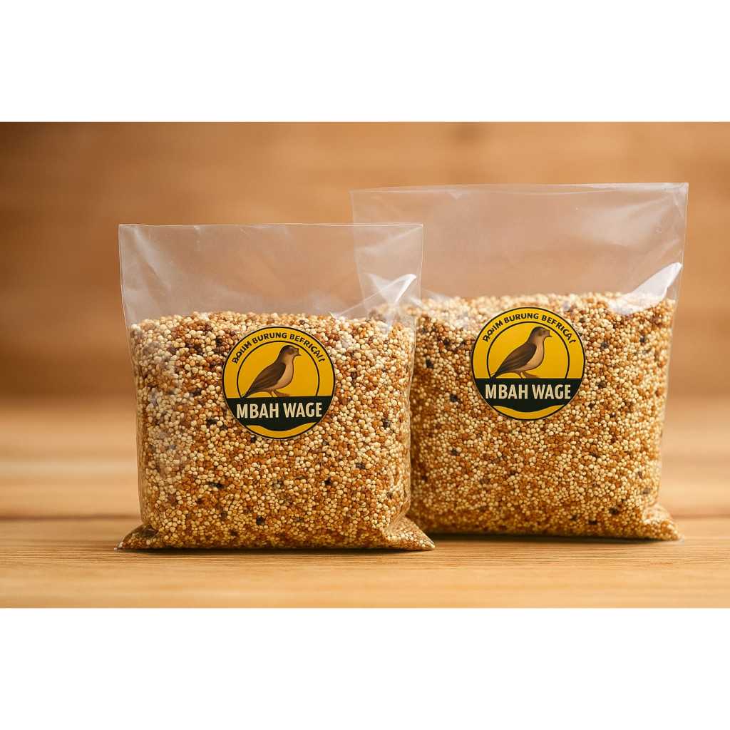 Racikan pakan burung perkutut agar cepat gacor/perkutut lokal/pakan perkutut jos/racikan untuk peter