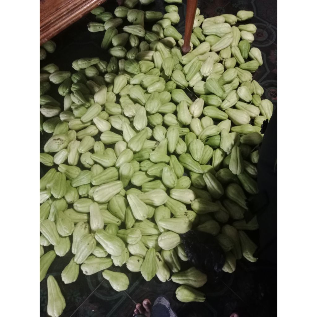 

labu siam besar 1 kg