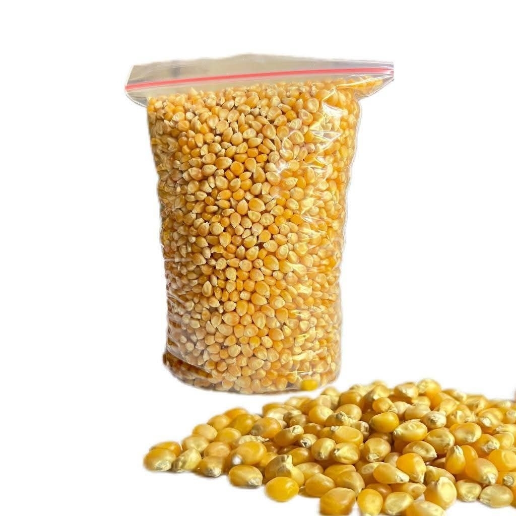 

Jagung Popcorn Organik Non GMO Repack 1Kg