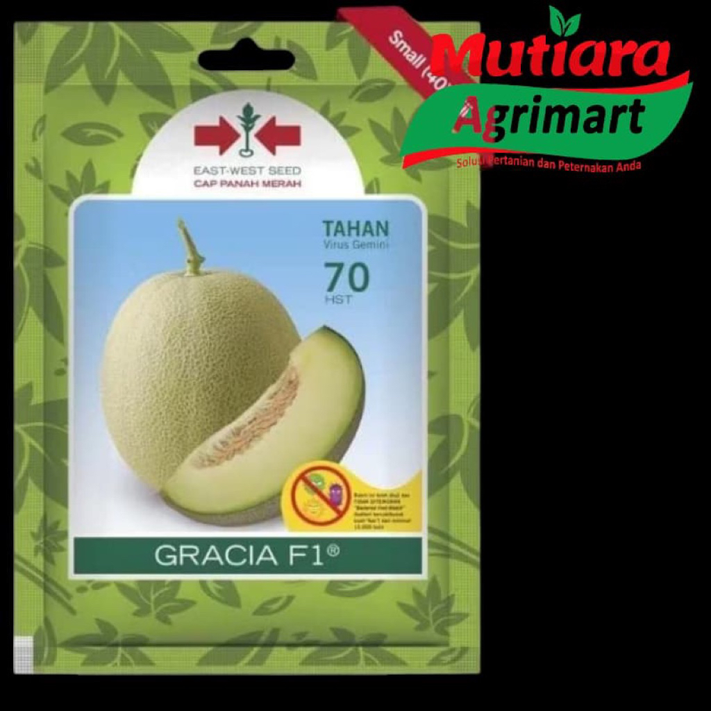 BIBIT MELON GRACIA F1 ISI 40 BUTIR // BENIH MELON CAP PANAH MERAH