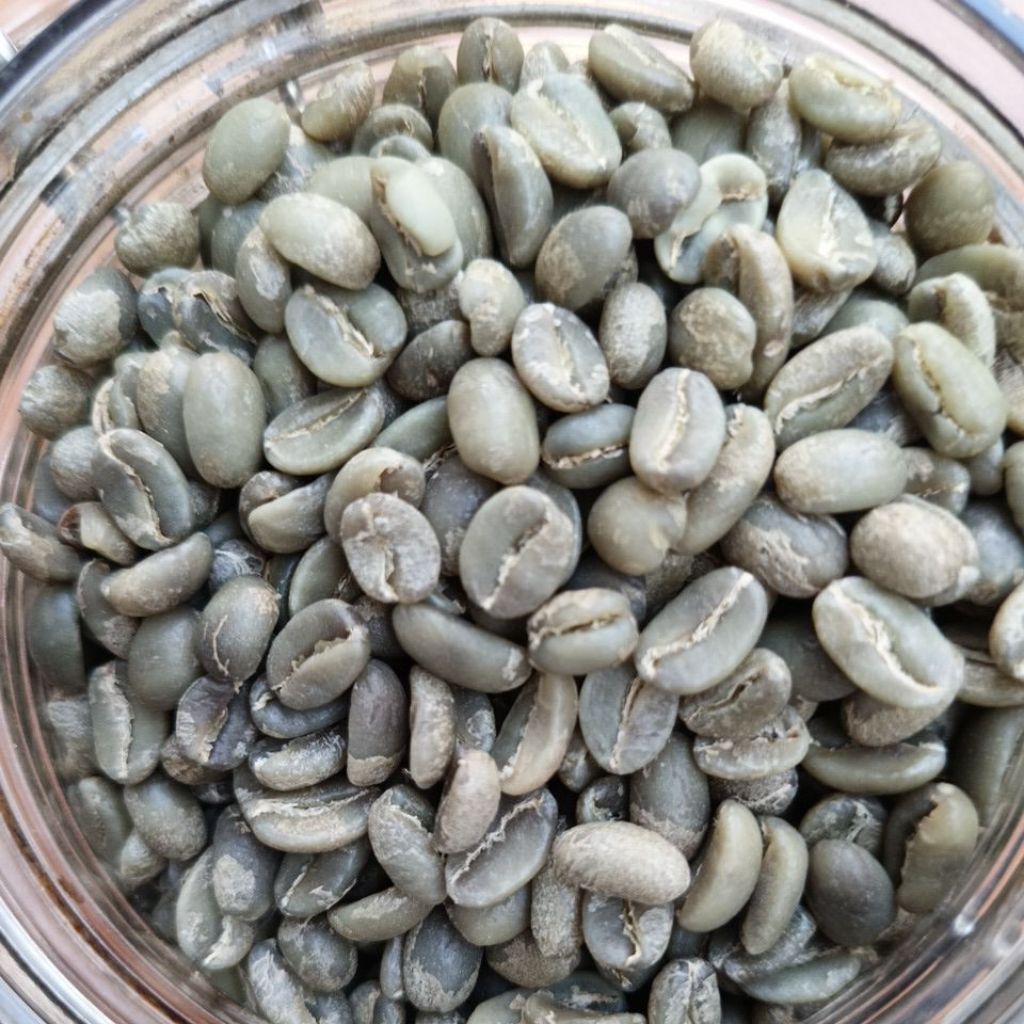 

Green Bean Arabika Java Blue Mountain 1 Kg