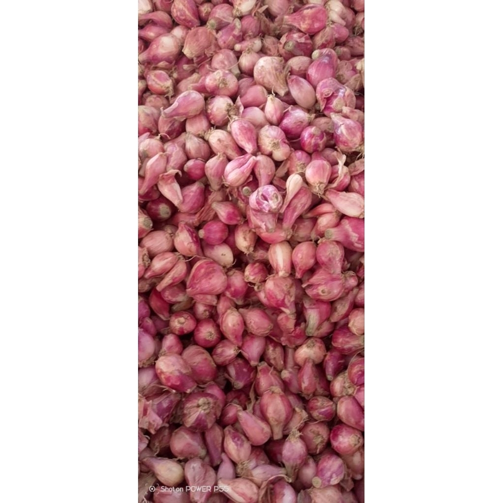 

bawang merah sedang 1000g