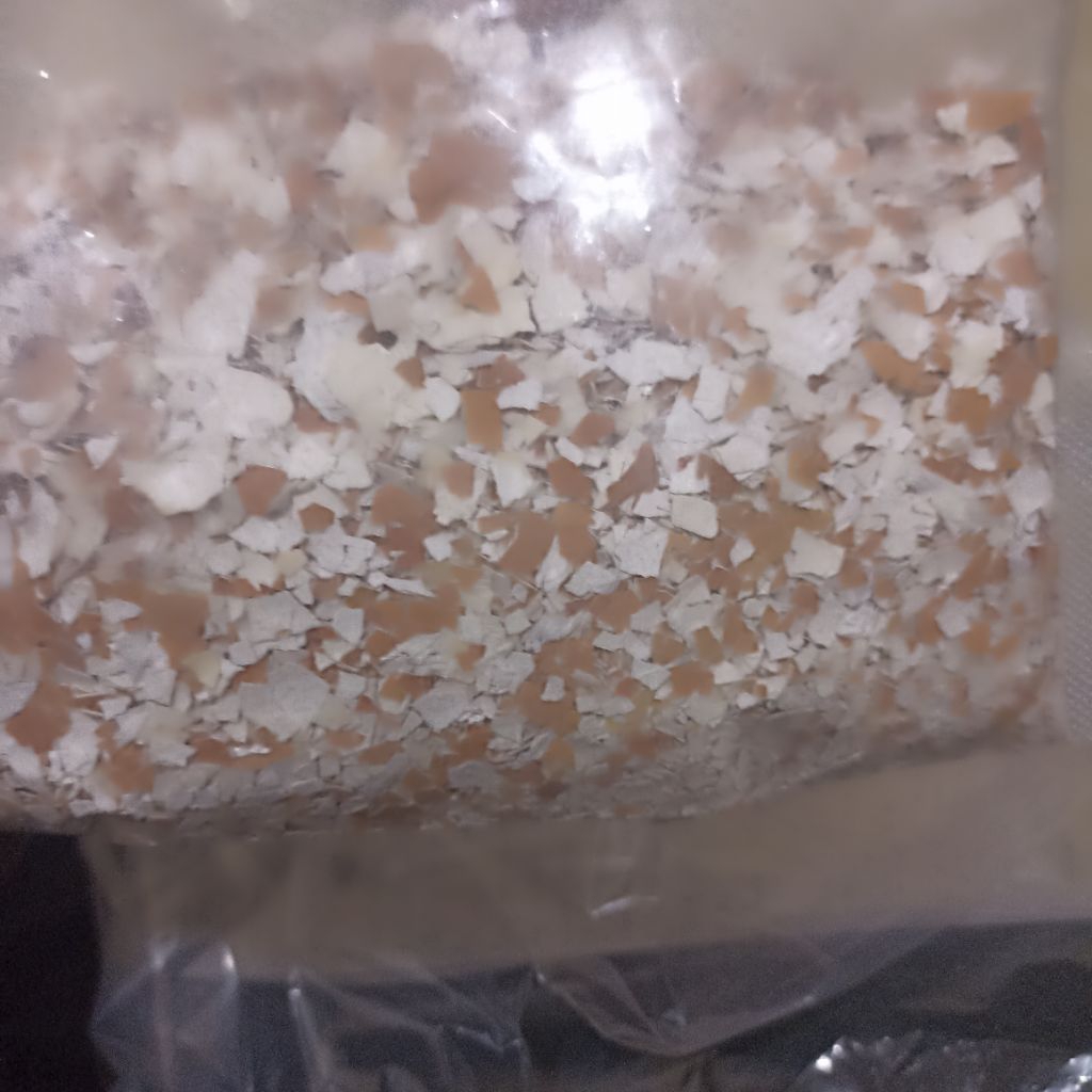 grit cangkang telur murni 100% untuk merpati atau hewan ternak