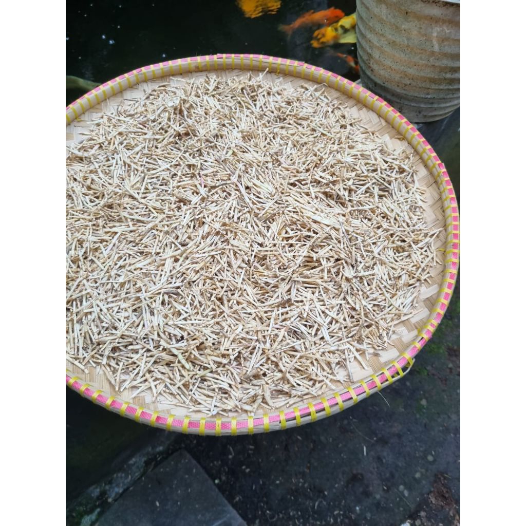 

akar alang alang kering 250g