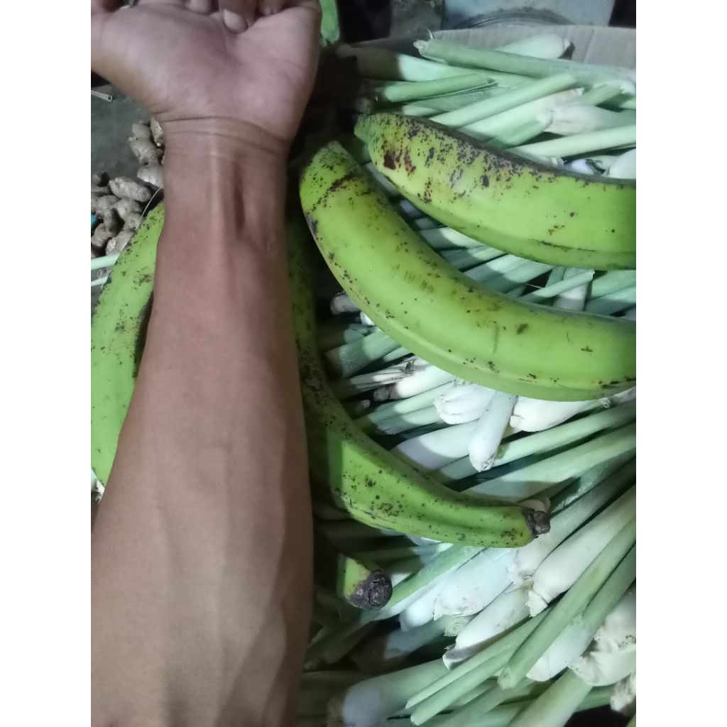 

pisang tanduk ISI (5)