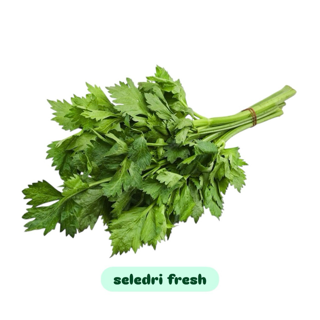 

Seledri Fresh Hijau 100gr/250gr/500gr