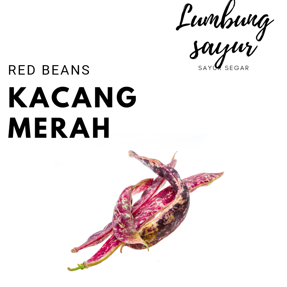 

[Sayur Lumbung] Kacang Merah Segar Berkualitas 250 gr