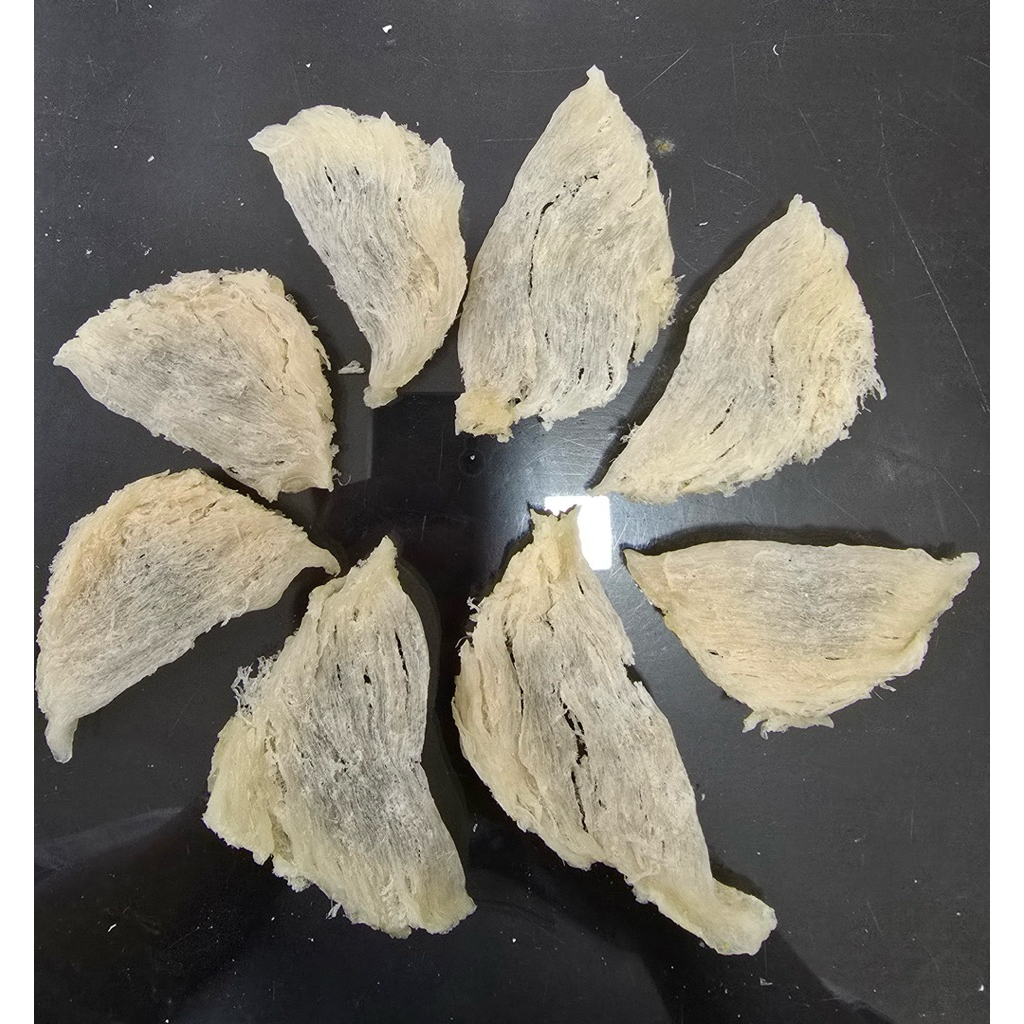 

sarang walet siap masak grade patahan besar