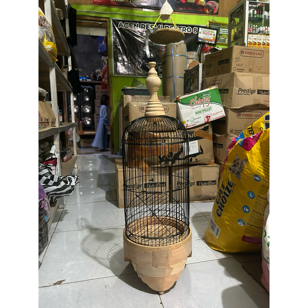 sangkar hellopet pleci tebok kayu komplit free karpet cepuk asem bali