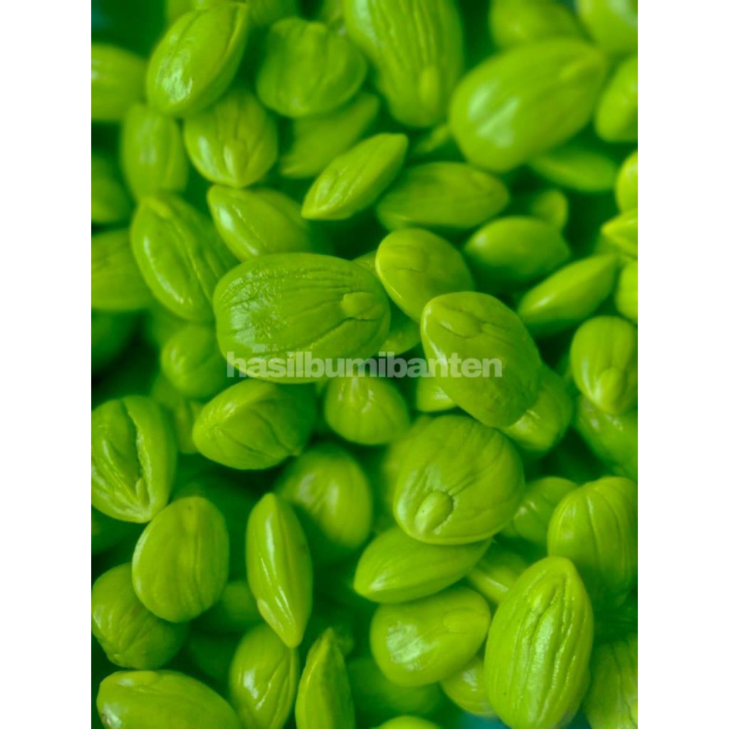 

PETE/PETAI KUPAS 250gr FRESH BARU PETIK