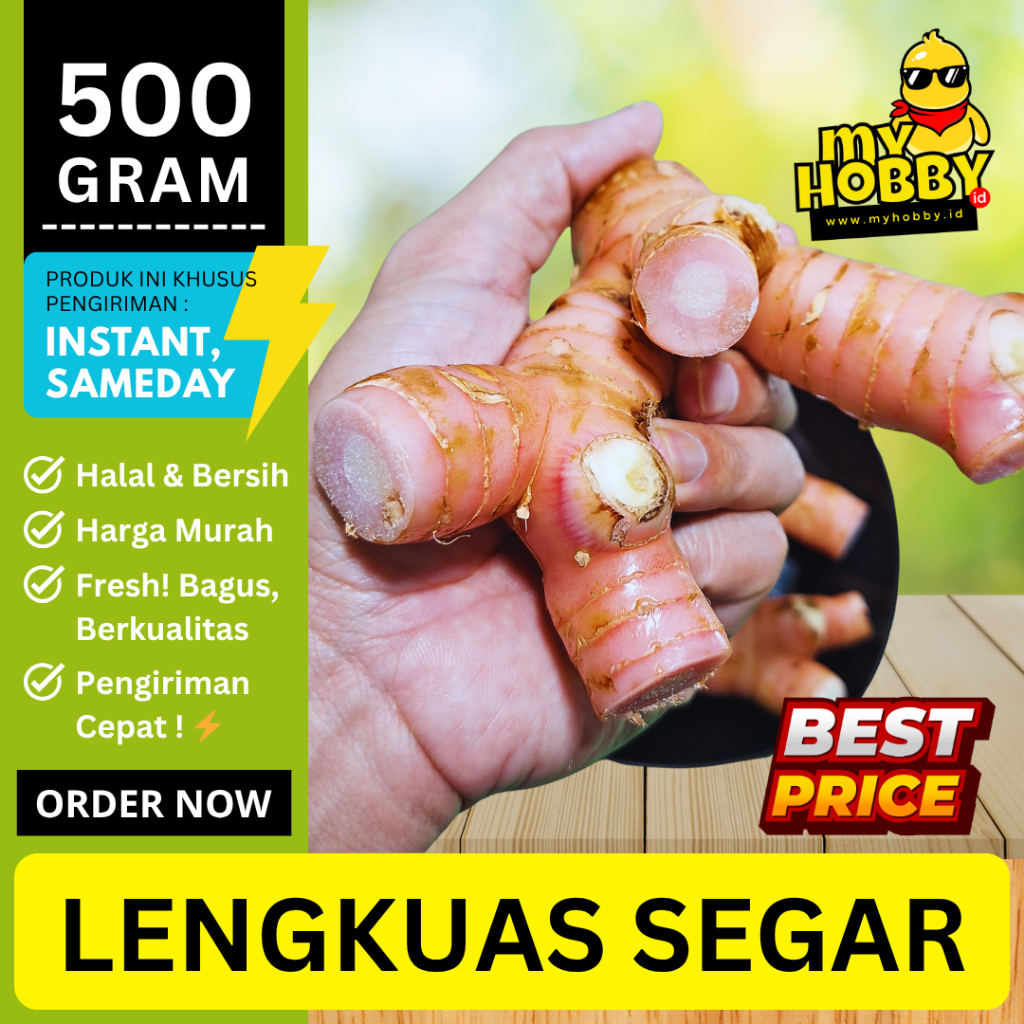 

Lengkuas Segar Pilihan 500 gram! Laos Laja Kualitas Super, Fresh, Murah, Bagus & Wangi. MyHobby ID