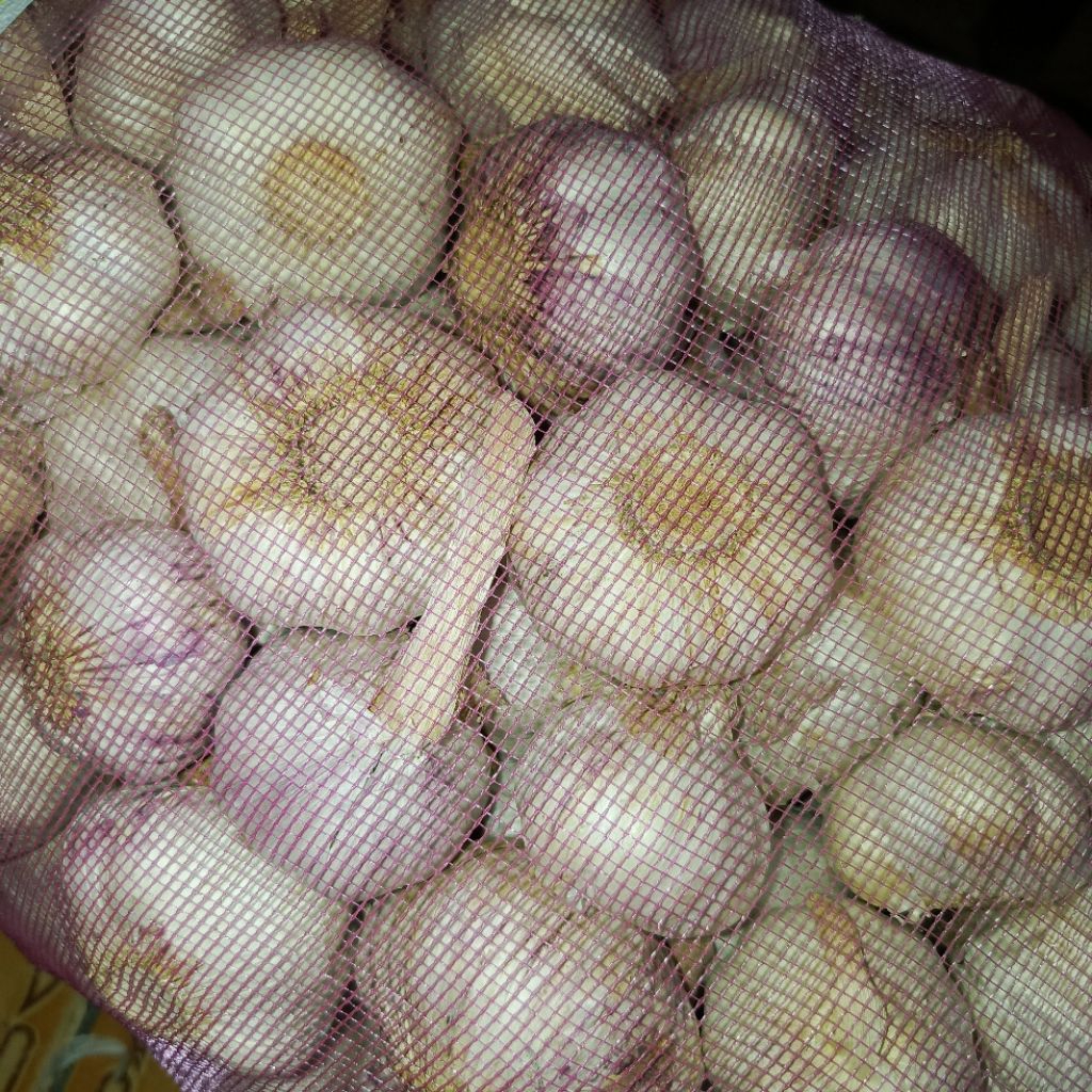 

Bawang Putih Honan 1kg