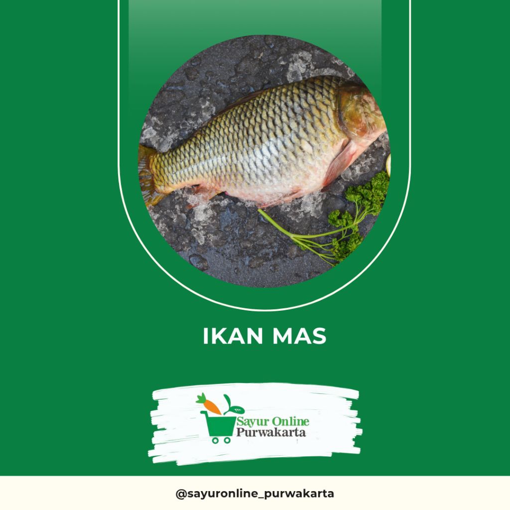 

Ikan Mas - Sayur Online Purwakarta