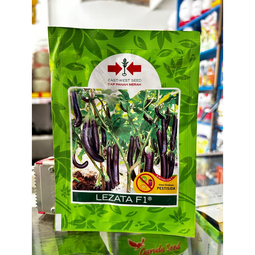BENIH BIBIT TERONG UNGU LEZATA 1.100BUTIR