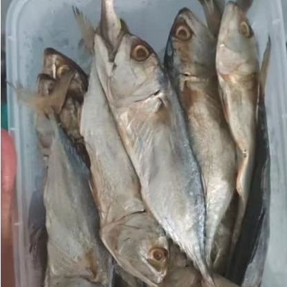 

ikan asin medai