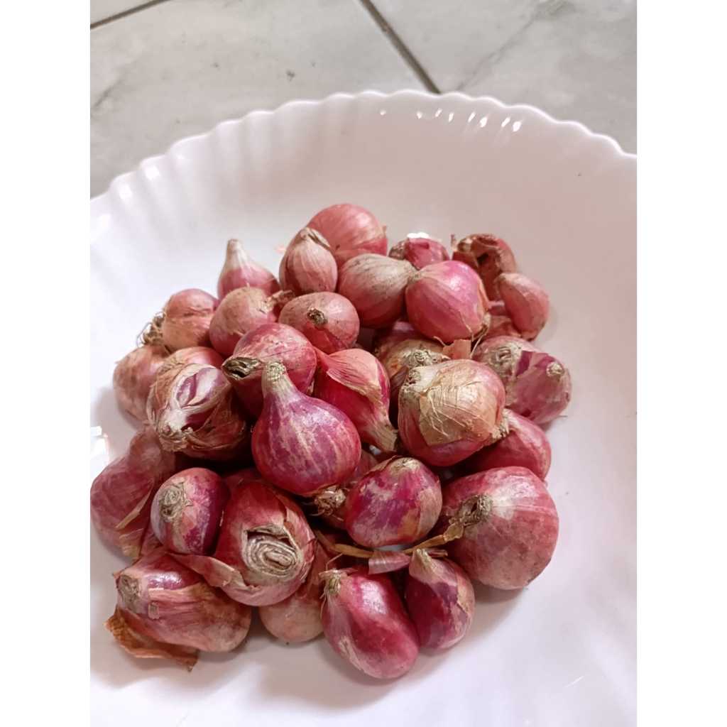 

Bawang Merah Murah Meriah 1kg