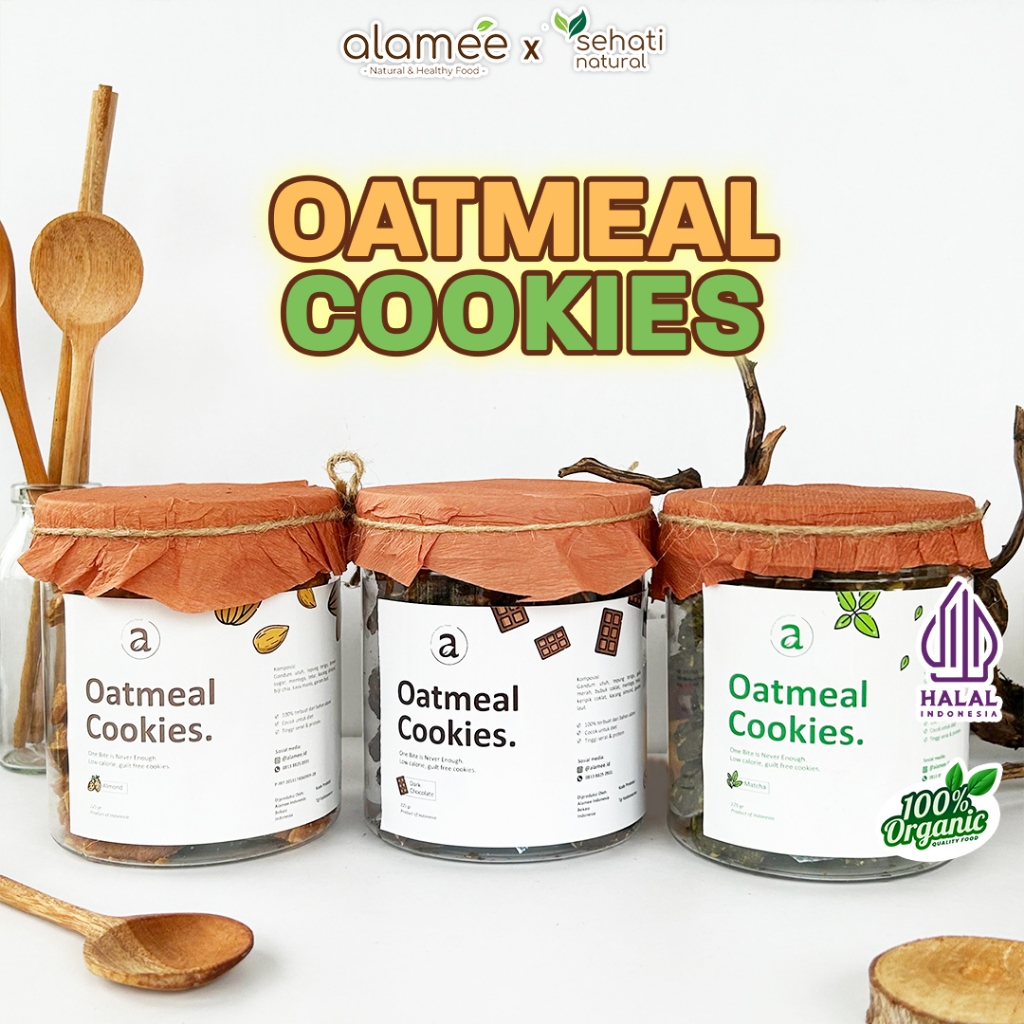 

Oatmeal Cookies Oat Snack Sehat Makanan Anak Balita Cemilan Sehat Cookie Kue Kering