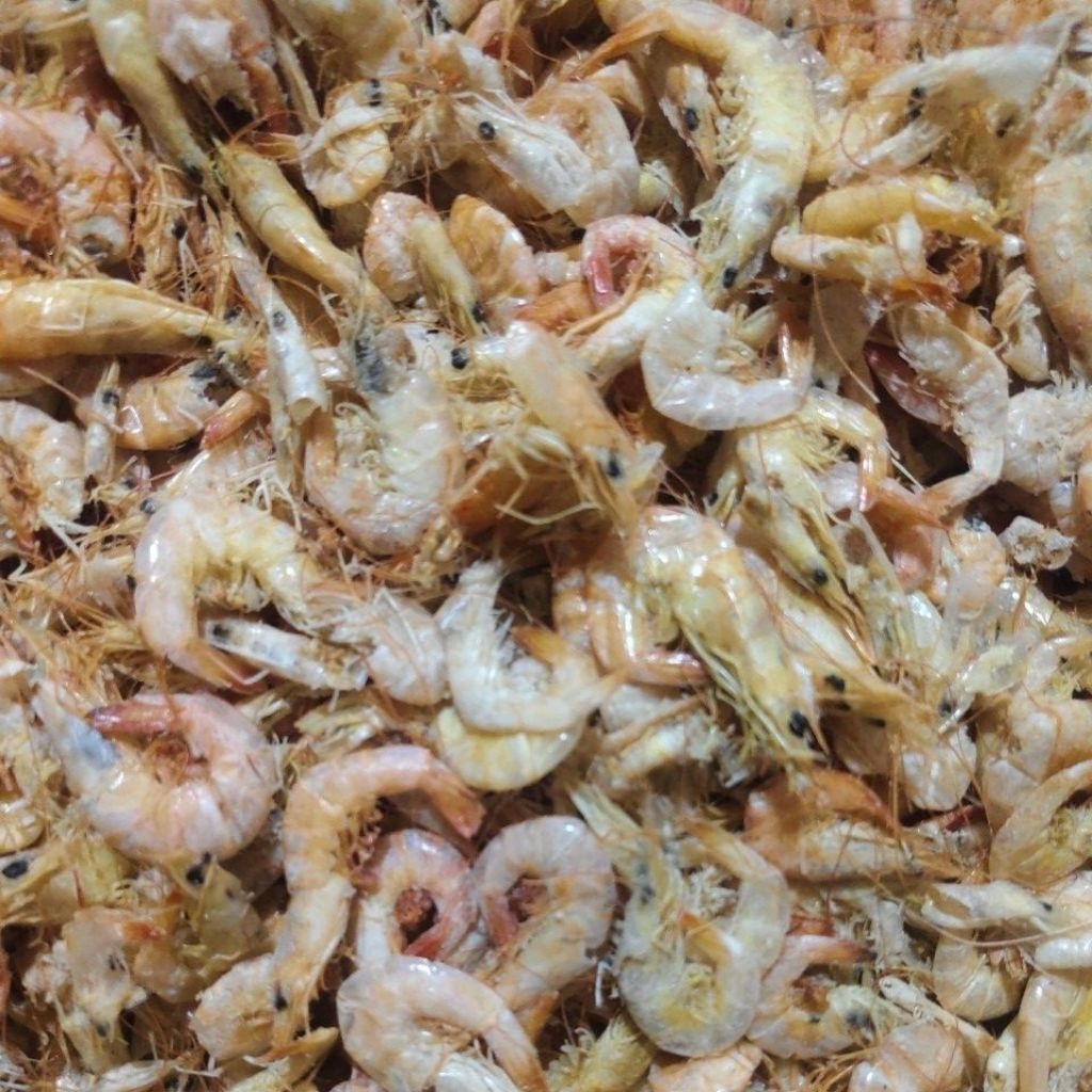 

Udang ebi asin jumbo _ Badung