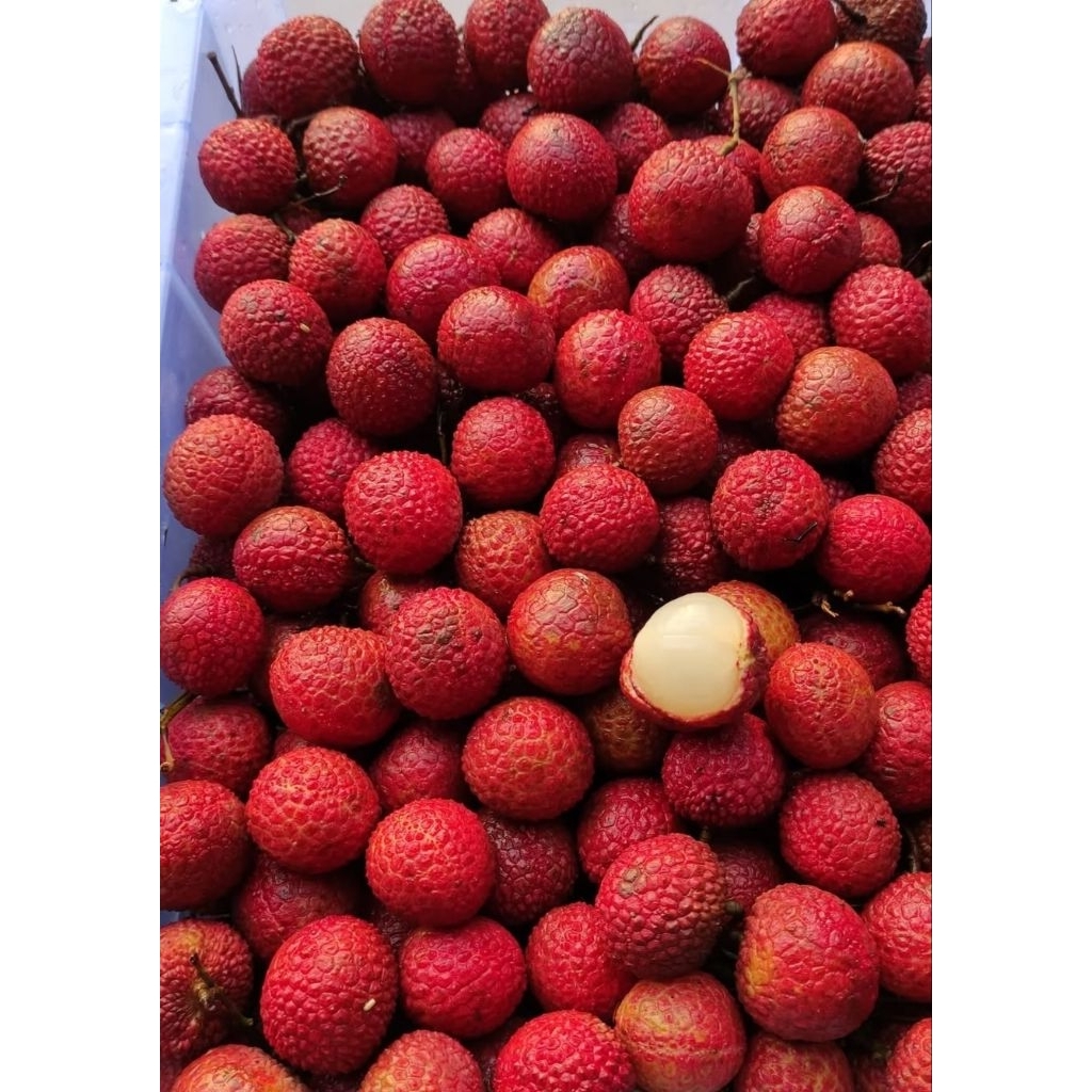 

leci madu merah segar