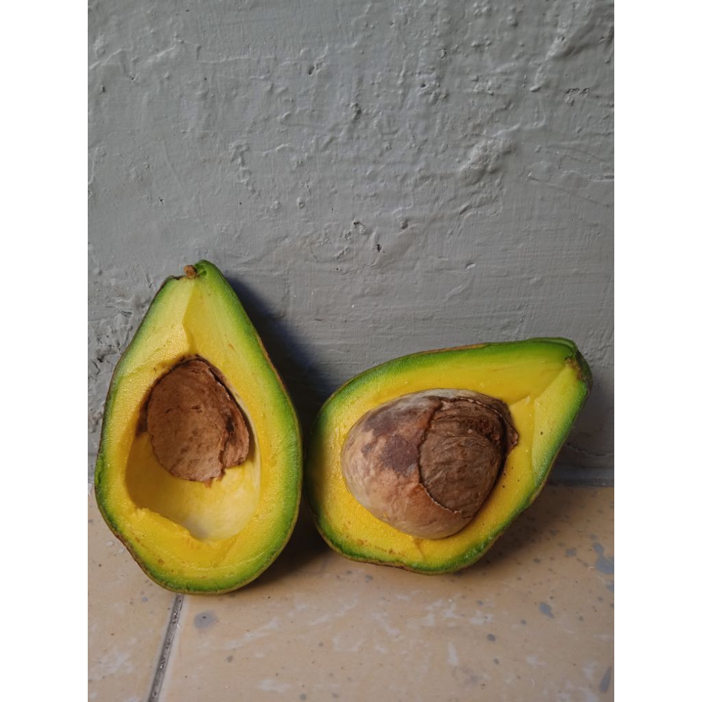 

Alpukat mentega/fresh/1kg isi 3-4 dominan 4/ dikirim mentahan