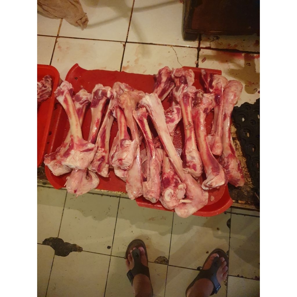 

Sum Sum kambing