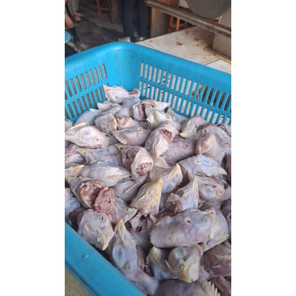 

PROMO CEKER DAN KEPALA AYAM UD BAROKAH