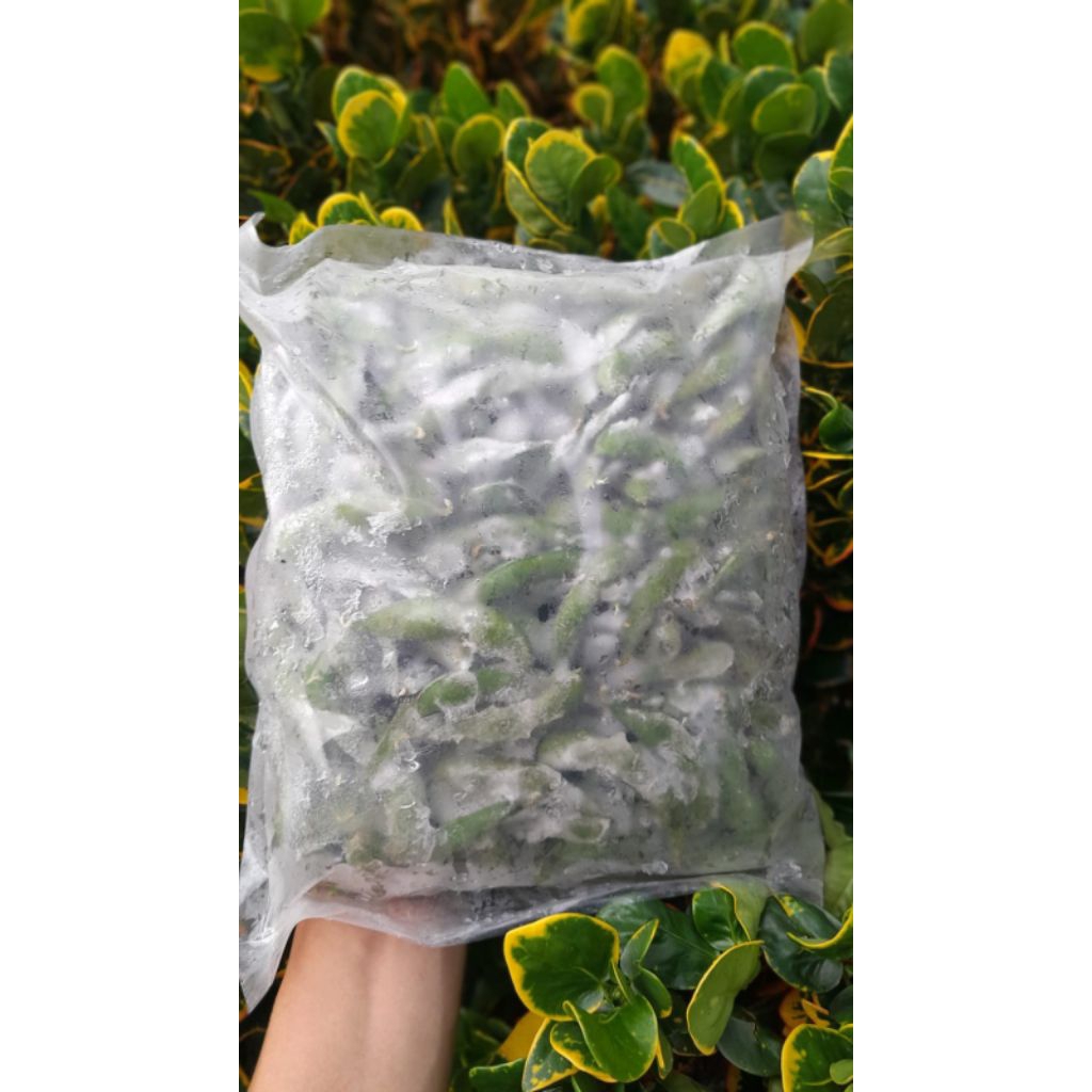 

Edamame Beku (Frozen Edamame) 1 kilogram