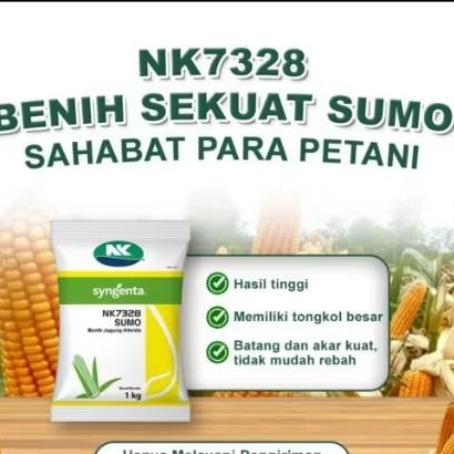 Benih jagung sumo  1kg