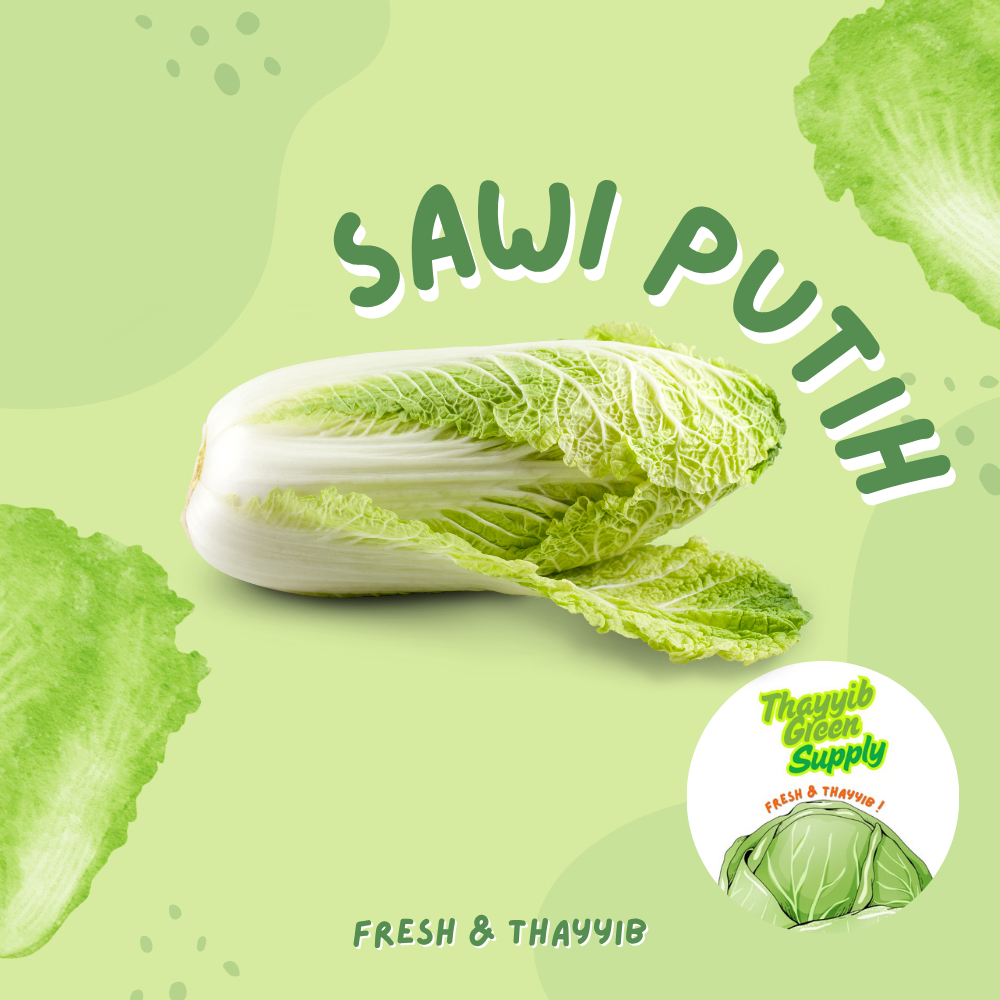 

SAWI PUTIH SEGAR / SAWI PUTIH 1 KG - THAYYIB GREEN SUPPLY