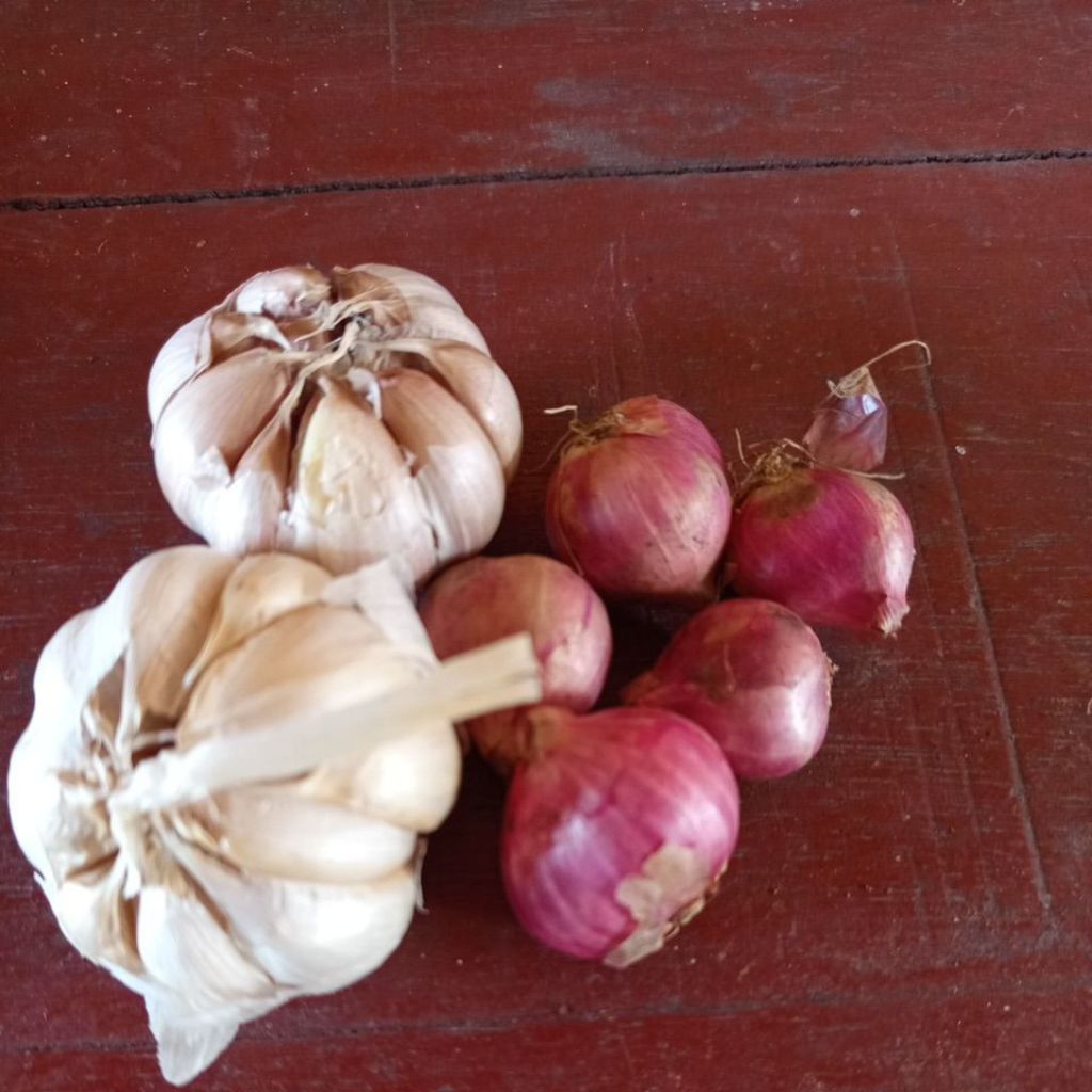 

Paket Hemat Bawang merah 1/2 dan Bawang Putih 1/2
