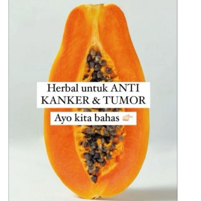 

Papaya Tea Premium Best seller