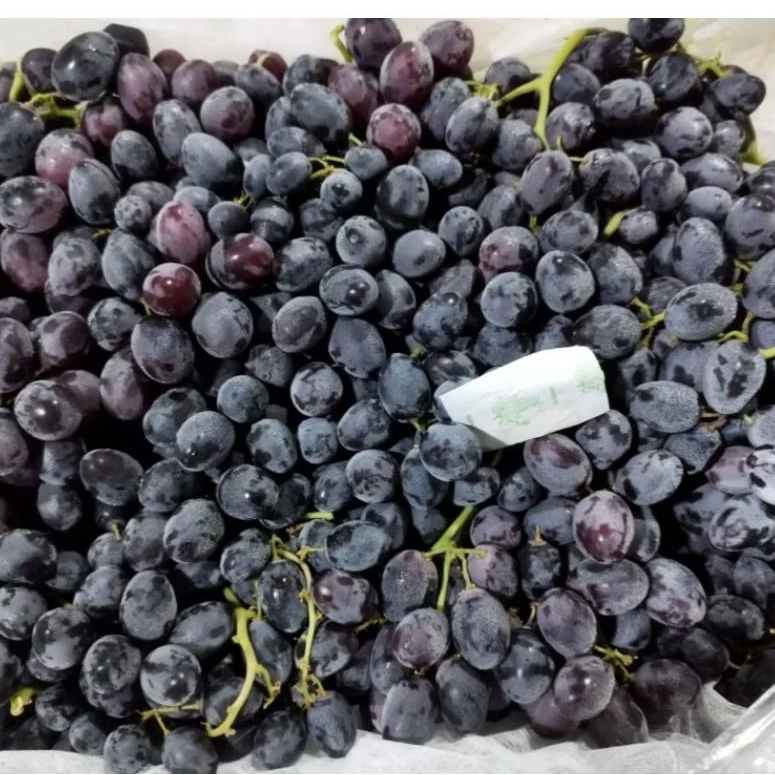 

Buah Anggur Autumn RRC Per 1 Bok krat