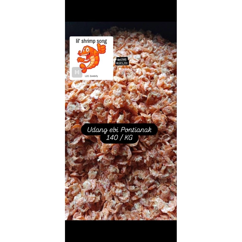 

UDANG EBI / UDANG EBI PONTIANAK / UDANG EBI AMBAI