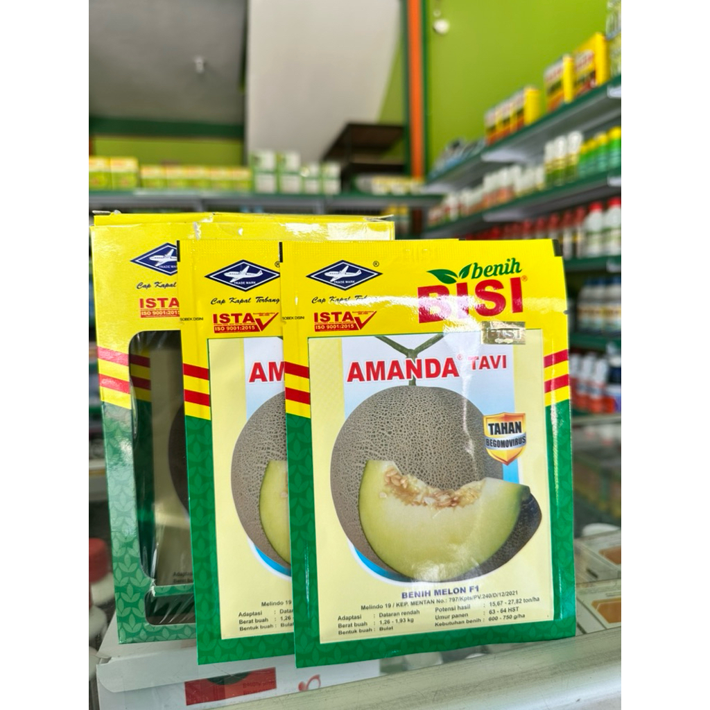 BENIH MELON AMANDA TAVI F1 550 Butir - BIBIT MELON AMANDA TAVI F1 Cap Kapal Terbang