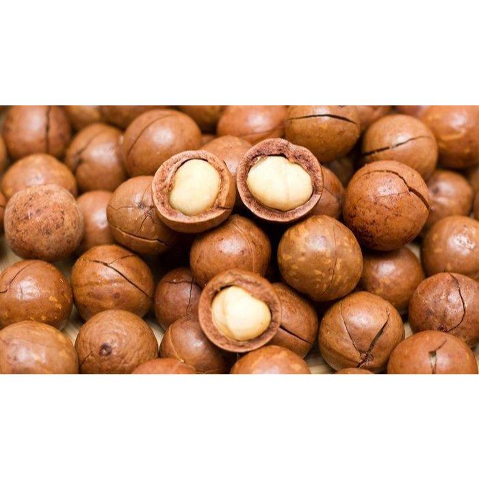 

500 gr kacang macadamia roasteds