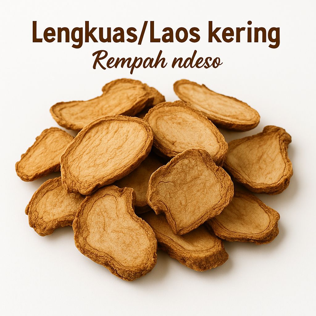 

Lengkuas / Laos Rajang Tangan Kering 1 Kg Asli – Rempah Herbal Alami untuk Masakan & Jamu
