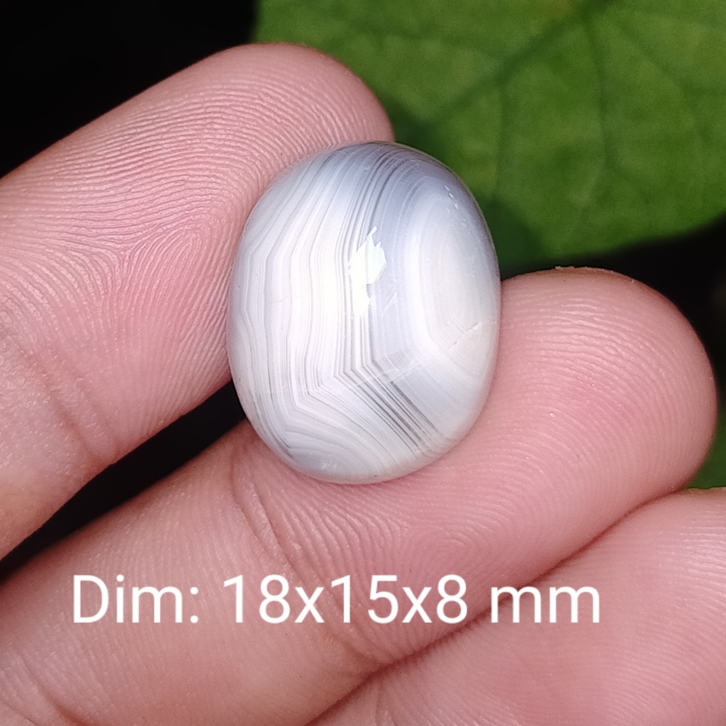 BATU AKIK ANTIK CEMPAKA ASLI NATURAL KALIMANTAN cek batu lainnya yaman api wulung opal bacan permata