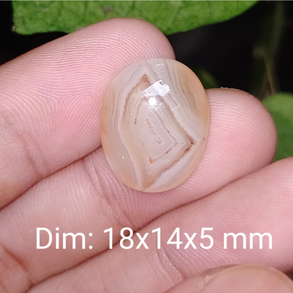BATU AKIK ANTIK CEMPAKA ASLI NATURAL KALIMANTAN cek batu lainnya yaman api wulung opal bacan permata